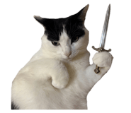 856301433