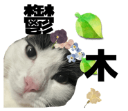 856301439