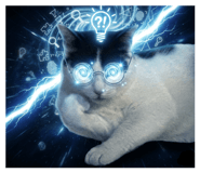 856301448