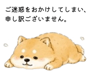 856301935
