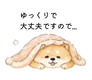 856301938
