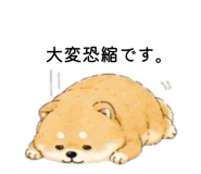 856301942