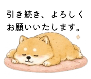 856301948
