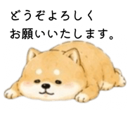 856301950