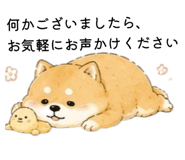856301953