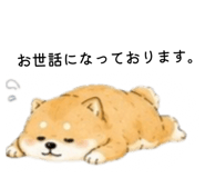 856301954