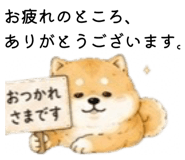 856301955