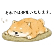 856301957