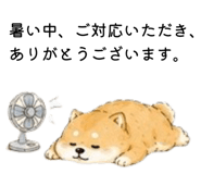 856301958