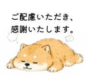 856301961
