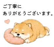 856301962