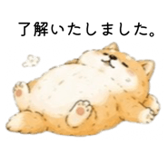 856301964