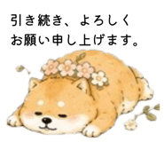 856301968