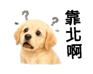 856303322
