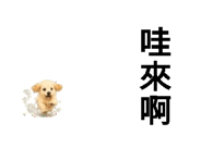 856303324