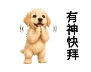 856303325