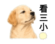856303327