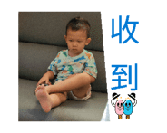 856303612
