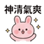 856303648