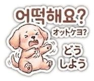 856303868
