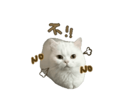856304264