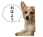 856304476