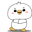 856304677