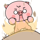 856304851