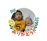 856307061