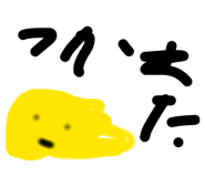 856307567