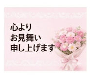 856307605