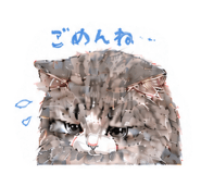856307882