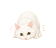 856307899