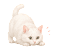 856307906