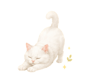 856307920