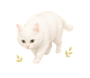 856307928