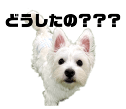 856308883