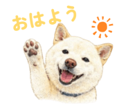 856308945
