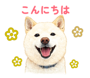 856308946