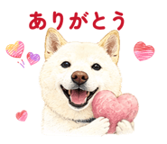 856308948