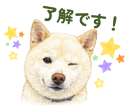 856308949