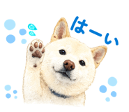 856308950