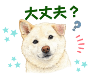856308952