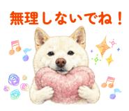 856308953