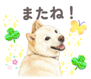 856308955