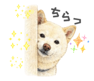 856308957