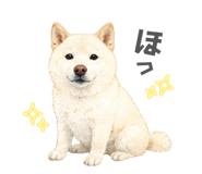 856308959