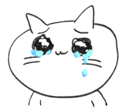 856309062