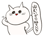 856309065