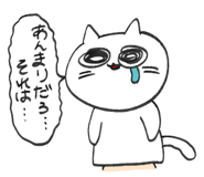 856309087